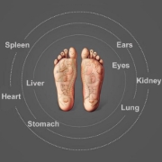 Picture of Deep Tissue Leg & Foot Massager with 360° Air Pressure, Sole Rollers, and Infrared Heat Therapy
